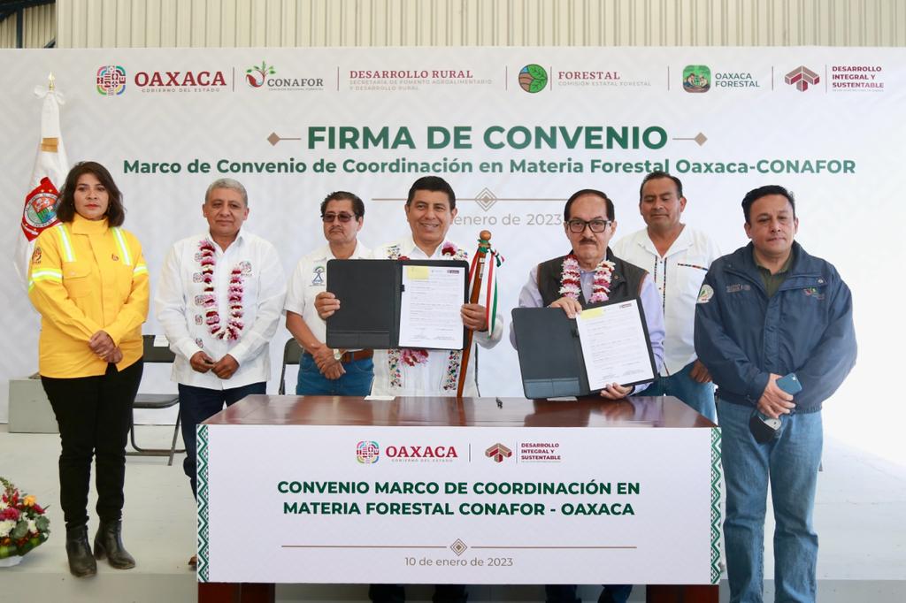 Suman esfuerzos Gobierno de Oaxaca y Conafor para conservar y proteger ...