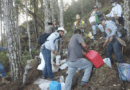 Controlan incendio forestal en Santa María Yucuhiti