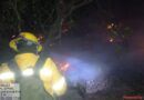 Controlan incendio forestal