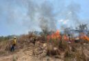 Controla Coesfo incendio forestal en Santiago Pinotepa Nacional
