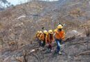 Reporta Coesfo liquidación de 13 incendios forestales en la última semana