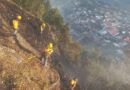 Reporta Coesfo liquidación de incendio forestal en San Juan Quiotepec