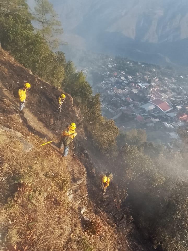 Reporta Coesfo liquidación de incendio forestal en San Juan Quiotepec ...