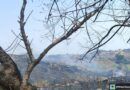 Atiende Coesfo incendio forestal en Santiago Pinotepa Nacional