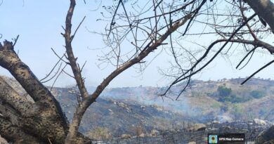Atiende Coesfo incendio forestal en Santiago Pinotepa Nacional