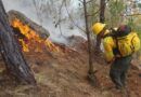Continúa atención de incendio forestal en límites de San Juan Quiahije y Santa Catarina Juquila