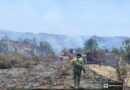Atiende Coesfo incendio forestal en Santiago Pinotepa Nacional