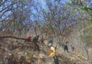 Atiende Coesfo incendio forestal en San Juan Juquila Mixes