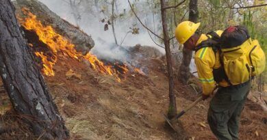Continúa atención de incendio forestal en límites de San Juan Quiahije y Santa Catarina Juquila