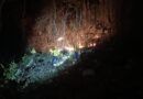 Controla Coesfo incendio forestal en San Juan Bautista Tuxtepec