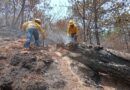 Controla Coesfo incendio forestal en San Juan Quiahije