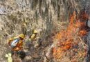 Controla Coesfo incendio forestal en Santa María Tecomavaca