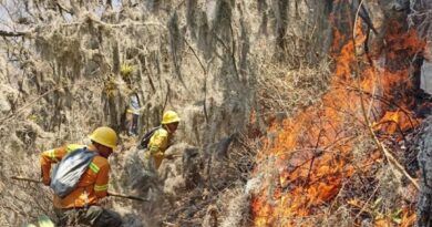 Controla Coesfo incendio forestal en Santa María Tecomavaca