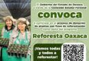Lanza Coesfo convocatoria para donación de plantas con fines de reforestación