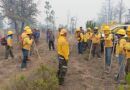 Más de 2 mil hectáreas afectadas por 46 incendios durante mayo: Coesfo