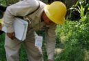 Refuerza SSO acciones contra el dengue en 170 localidades prioritarias