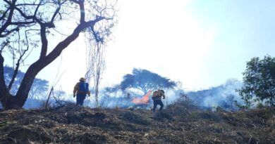 Reporta Coesfo control de dos incendios forestales en Santiago Pinotepa Nacional