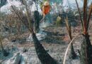 Atiende Coesfo incendio forestal en San Mateo Nejápam