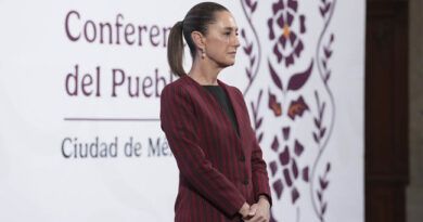  Gracias al trabajo del Gabinete de Seguridad se han realizado detenciones, incautaciones y destruido laboratorios