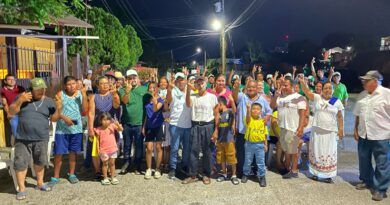 Sigue avanzando la ola verde en Playa Vicente