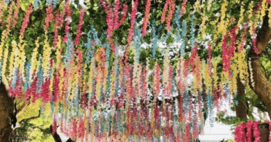 El Ayuntamiento de Veracruz, informó que se llevará a cabo el “Desfile de la Primavera” el próximo viernes 20 de marzo, a las 5 de la tarde.