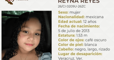 Ayuda a localizar y volver a casa a Camila de 12 años