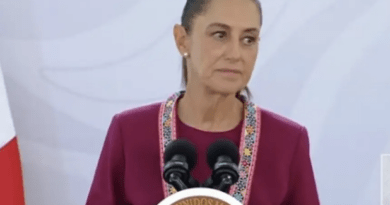 Hay pruebas de la participación de Gilda Susana Lozoya en caso Agronitrogenados: Sheinbaum