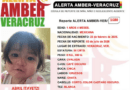 Buscan a bebé extraviada en Veracruz; estas son las señas