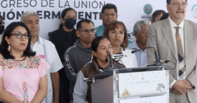 VIDEO: Diputadas y diputados del PT afirman que programa de reordenamiento de transporte del Gobierno de Oaxaca afecta a concesionarios y usuarios