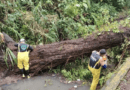 Lluvias dejan viviendas anegadas y carreteras cerradas en Veracruz
