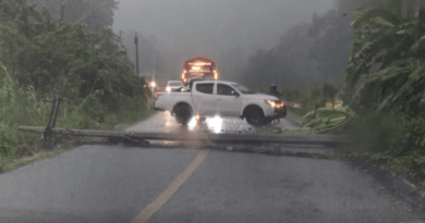 Caída de poste de energía eléctrica interrumpe la circulación vehicular en la carretera federal 175 a la altura de Santa María Jacatepec