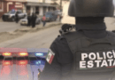 Restos óseos hallados en una primaria provocan movilización policiaca