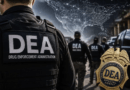 Sheinbaum responde a la DEA tras advertencias sobre narcopolíticos: “Cada quien debe hacer su trabajo”