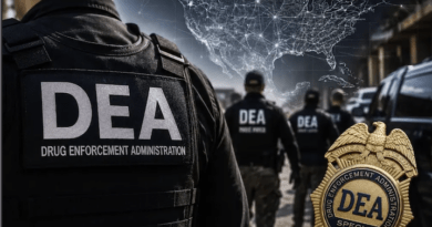 Sheinbaum responde a la DEA tras advertencias sobre narcopolíticos: “Cada quien debe hacer su trabajo”