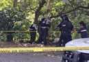 Reportan hallazgo de al menos 5 cuerpos