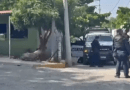 Asesinan a balazos a tres hombres en Juchitán en nueva jornada de violencia