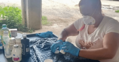 Detectan foco de gusano barrenador en gatos abandonados