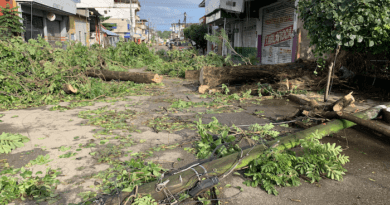 Continua sin paso y sin luz en la calle 5 de mayo tras la caída de un árbol