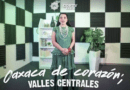 Denuncia MC a titulares de Turismo Oaxaca y Cortv por uso indebido de recursos públicos
