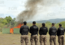 ¡Casi 800 kilos! FGR incinera marihuana, cocaína y otras drogas