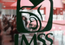 Mueren recién nacidos en hospital del IMSS en Guadalajara y detectan esto